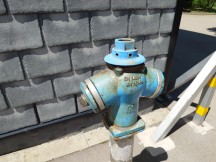 Main camera, 12MP - f/1.9, ISO 25, 1/800s - Sony Xperia 1 VI review