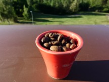 Ultrawide closeup - f/2.2, ISO 64, 1/640s - Sony Xperia 1 VI review