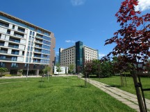 Ultrawide camera, 12MP - f/2.2, ISO 64, 1/1600s - Sony Xperia 1 VI review