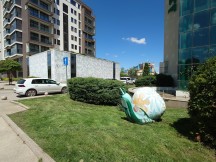 Ultrawide camera, 12MP - f/2.2, ISO 64, 1/2000s - Sony Xperia 1 VI review