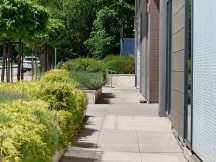 Tele camera 7.1x zoom, 12MP - f/3.5, ISO 32, 1/320s - Sony Xperia 1 VI review