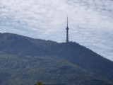 Daylight samples, teleconverter, 10x - f/2.1, ISO 50, 1/465s - Oppo Find X9 Pro review