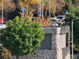 Daylight samples, teleconverter, 20x - f/2.1, ISO 50, 1/242s - Oppo Find X9 Pro review