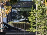 Daylight samples, teleconverter, 40x - f/2.1, ISO 50, 1/107s - Oppo Find X9 Pro review