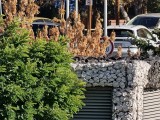 Daylight samples, teleconverter, 40x - f/2.1, ISO 50, 1/248s - Oppo Find X9 Pro review