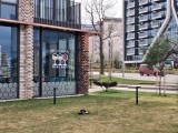 2x crop zoom photos - f/1.8, ISO 20, 1/439s - Samsung Galaxy A26 review