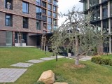 50MP main camera photos - f/1.8, ISO 20, 1/275s - Samsung Galaxy A26 review