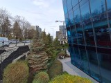 Ultrawide camera photos - f/2.2, ISO 40, 1/950s - Samsung Galaxy A26 review