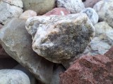 Macro camera photos - Samsung Galaxy A26 review