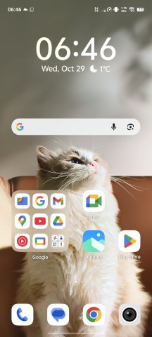 Homescreen - vivo X300 Pro review