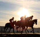Horses are taken for an early morning ride on the gallops at the Cheltenham racecourse