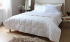 CommWoolDuvet